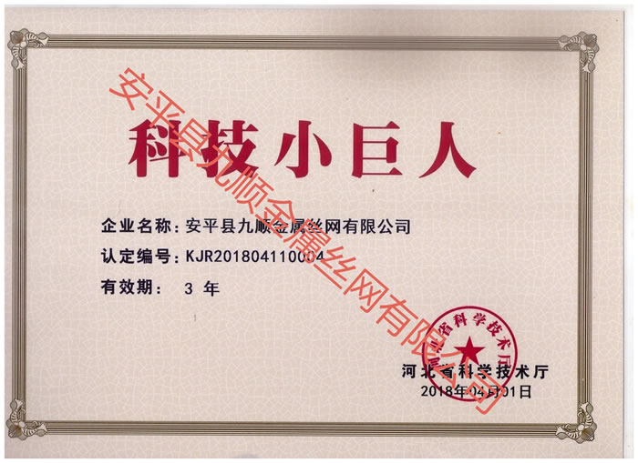 科技小伟人